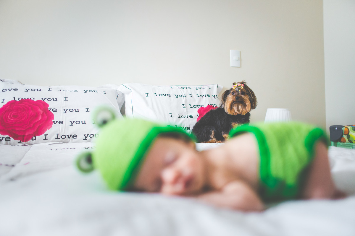 Acompanhamento do bebê, Davi, Aline Tomaz Fotografia, lavras -MG