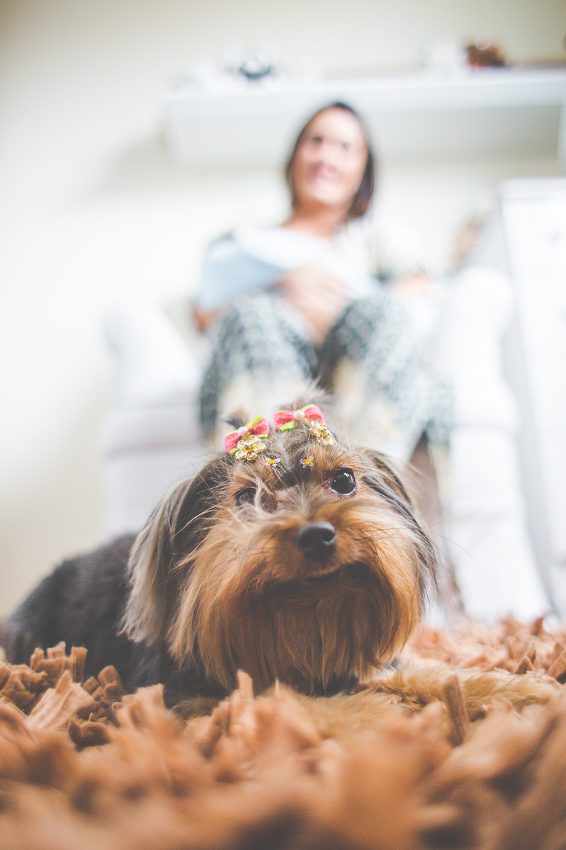 Acompanhamento do bebê, Davi, Aline Tomaz Fotografia, lavras -MG