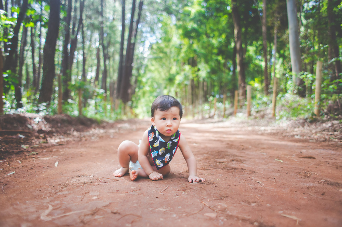 Acompanhamento do bebê Théo, Aline Tomaz Fotografia, Lavras - MG