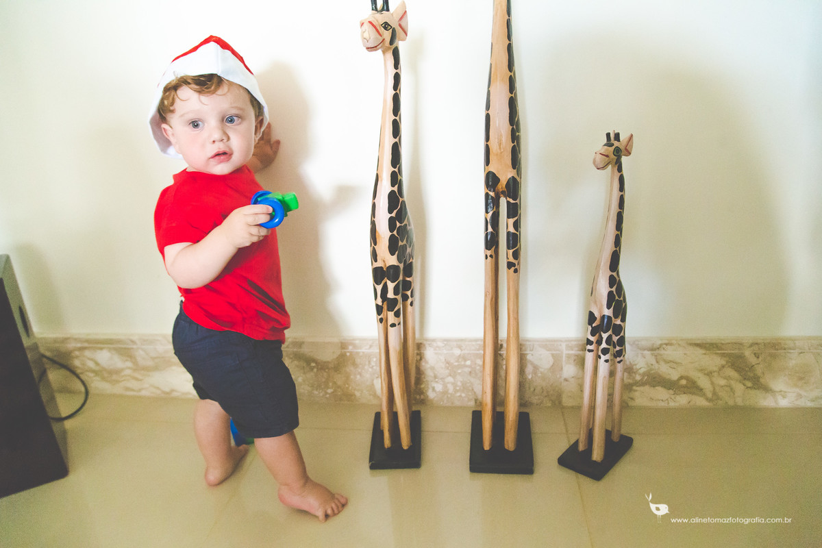 Acompanhamento do bebê,Francisco, Aline Tomaz Fotografia, Lavras - MG