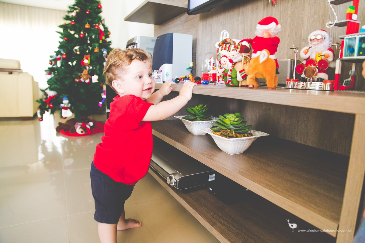 Acompanhamento do bebê,Francisco, Aline Tomaz Fotografia, Lavras - MG
