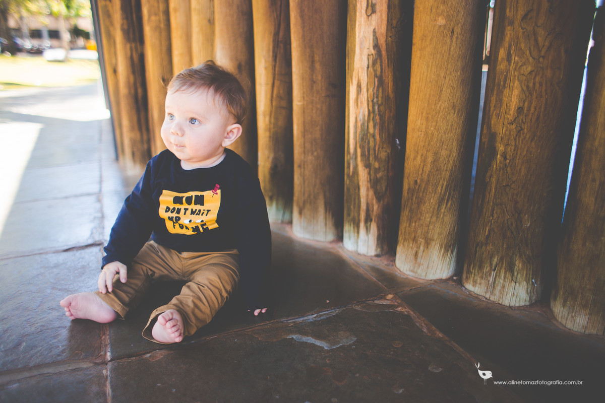 Acompanhamento do bebê,Francisco, Aline Tomaz Fotografia, Lavras - MG