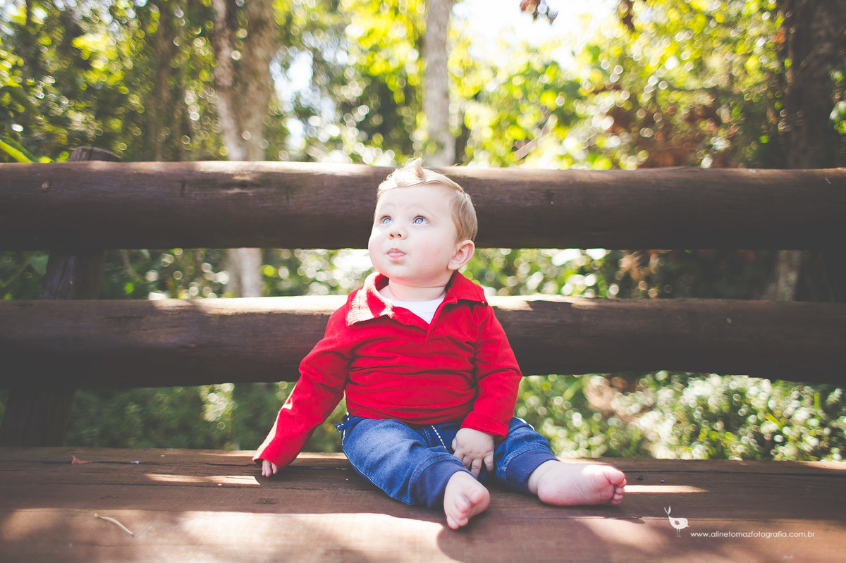 Acompanhamento do bebê,Francisco, Aline Tomaz Fotografia, Lavras - MG