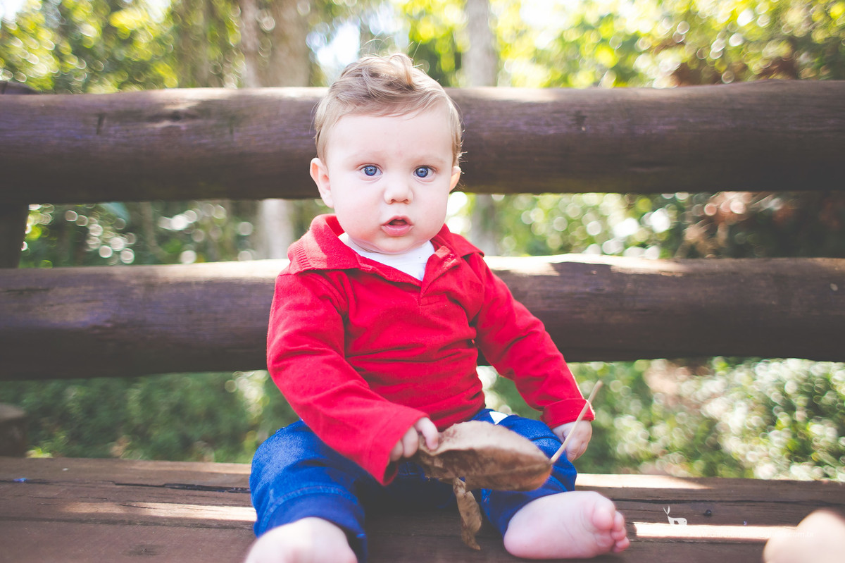 Acompanhamento do bebê,Francisco, Aline Tomaz Fotografia, Lavras - MG