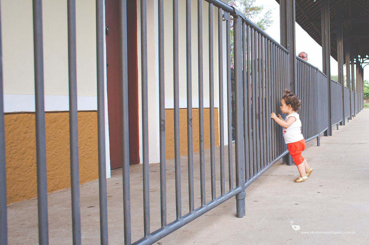 Acompanhamento do bebê,Isabela, Aline Tomaz Fotografia, lavras - MG