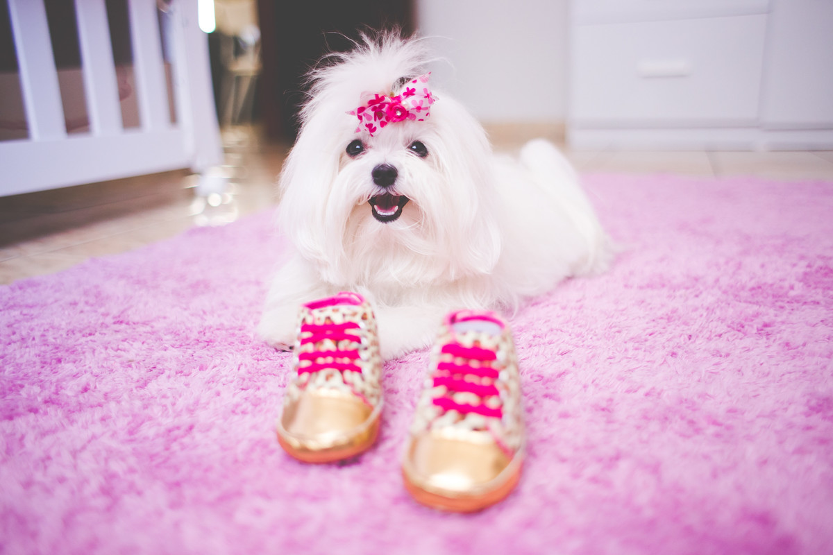 Ensaio Gestante, Dauanda e Rodrigo, Parque Ecológico Quedas do Rio Bonito, Lavras - MG, Aline Tomaz Fotografia
