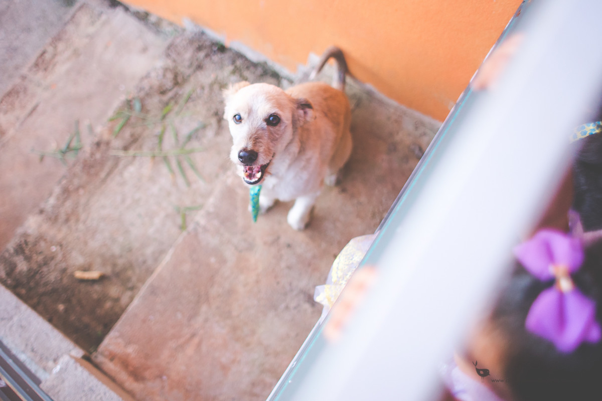 Making Off da Criança, Aniversário Infantil, Espaço Cenário, Lavras - MG, Aline Tomaz Fotografia, Alexia 2 anos
