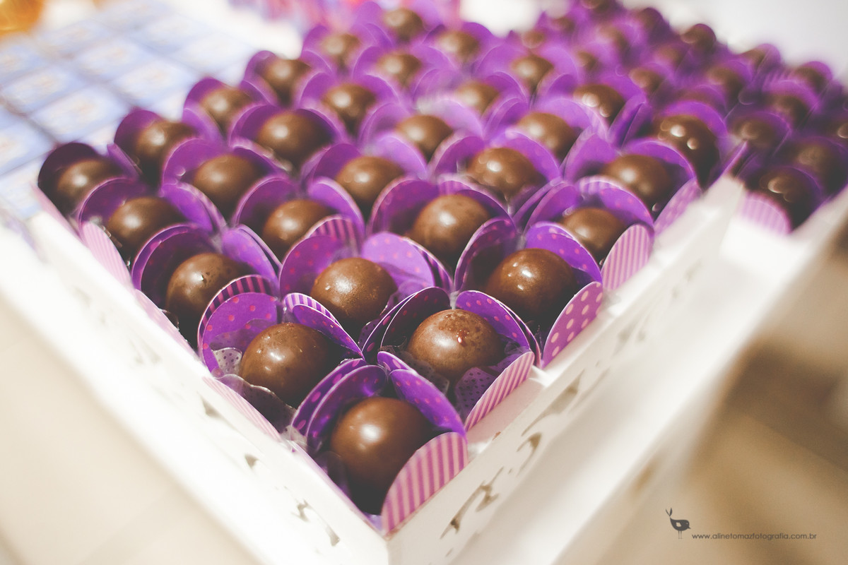 Making Off da Criança, Aniversário Infantil, Espaço Cenário, Lavras - MG, Aline Tomaz Fotografia, Alexia 2 anos