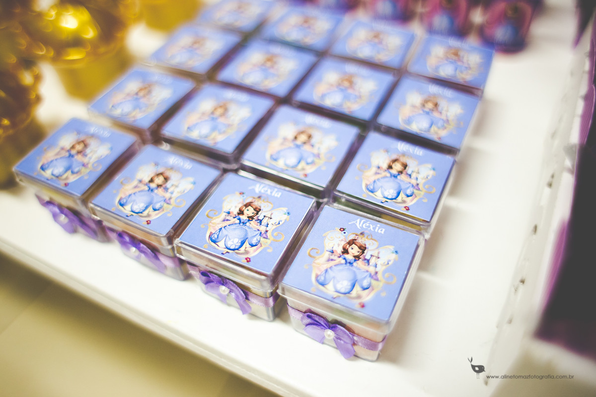 Making Off da Criança, Aniversário Infantil, Espaço Cenário, Lavras - MG, Aline Tomaz Fotografia, Alexia 2 anos