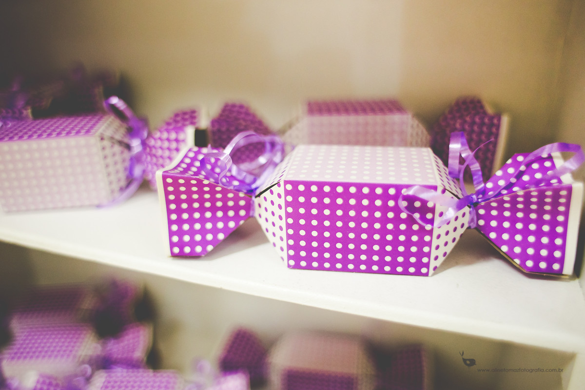 Making Off da Criança, Aniversário Infantil, Espaço Cenário, Lavras - MG, Aline Tomaz Fotografia, Alexia 2 anos