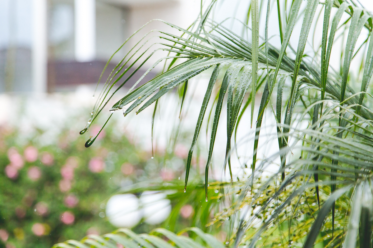 Aline Tomaz Fotografia, Lavras MG, Fotografia de familias, aniversario infantil, buffet, crianças, interativa recreação.