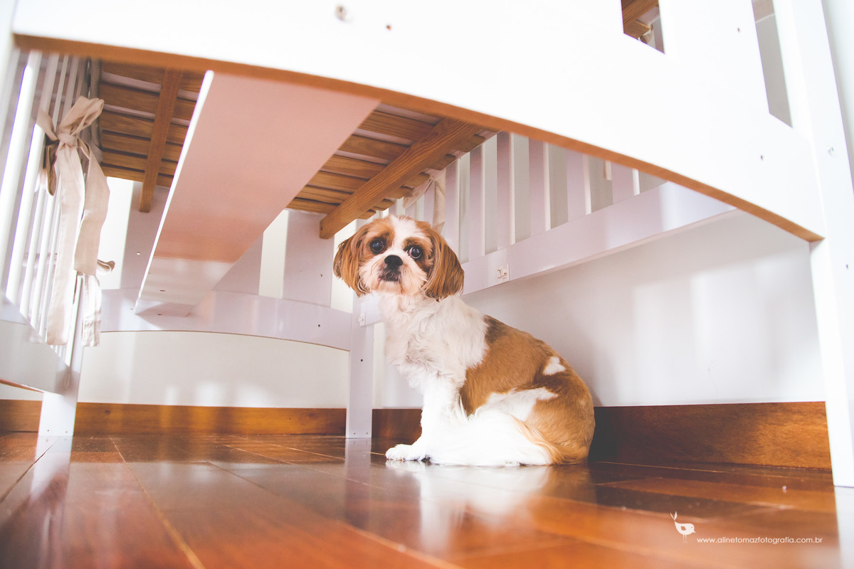 Ensaio Newborn Lifestyle, Felipe, Lavras - MG, Aline Tomaz Fotografia