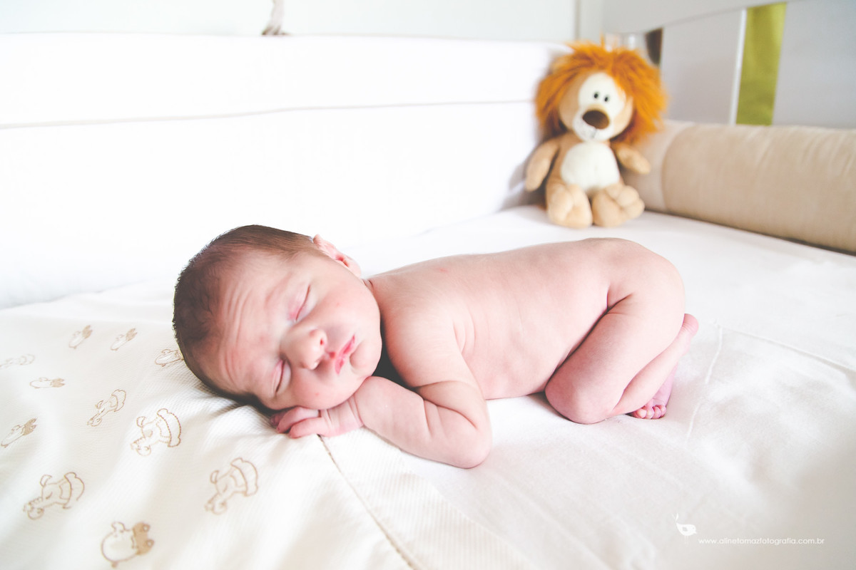 Ensaio Newborn Lifestyle, Felipe, Lavras - MGEnsaio Newborn Lifestyle, Felipe, Lavras - MG, Aline Tomaz Fotografia