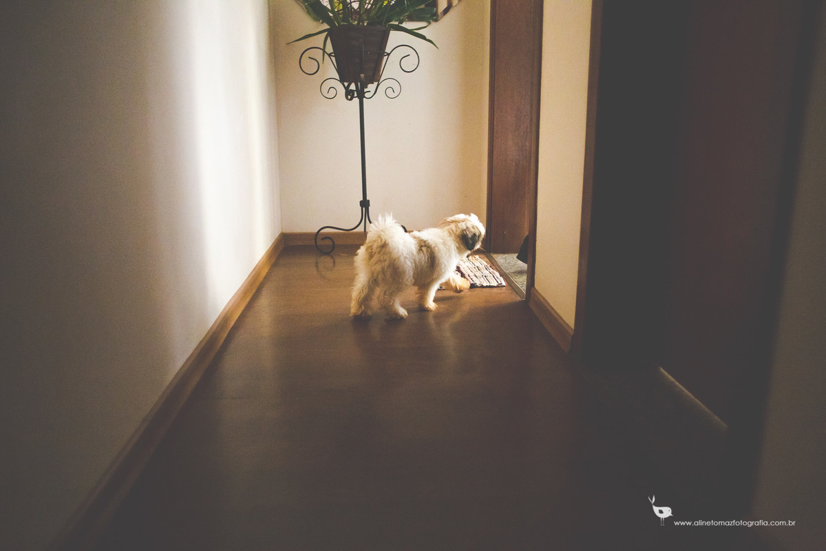 Pedro Formatura Infantil, FADMINAS, Lavras-MG, Aline Tomaz Fotografia