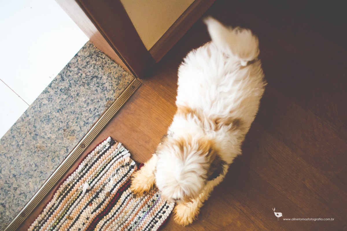 Pedro Formatura Infantil, FADMINAS, Lavras-MG, Aline Tomaz Fotografia