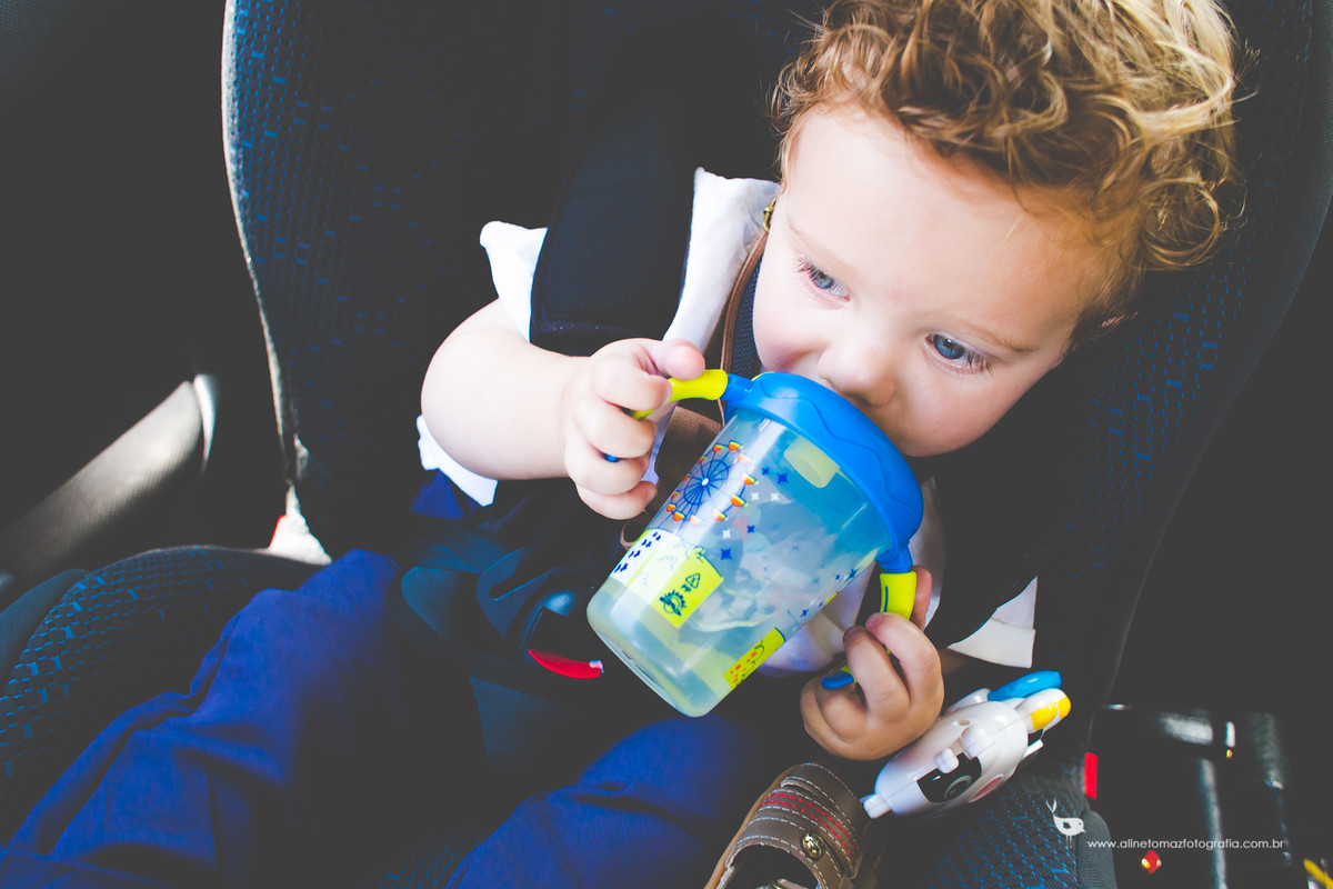 Making Off da criança, Aniversário Infantil, Sítio Sossego, Lavras _MG, Francisco 1 ano, Aline Tomaz Fotografia