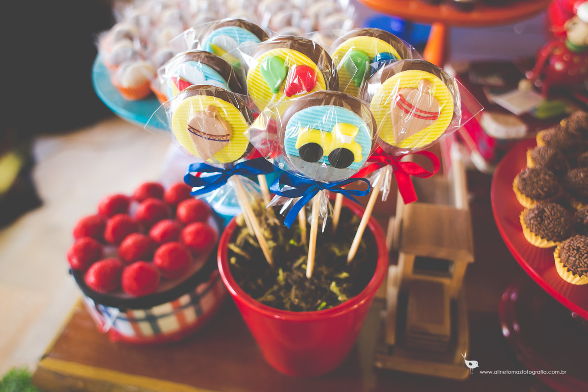 Making Off da criança, Aniversário Infantil, Sítio Sossego, Lavras _MG, Francisco 1 ano, Aline Tomaz Fotografia