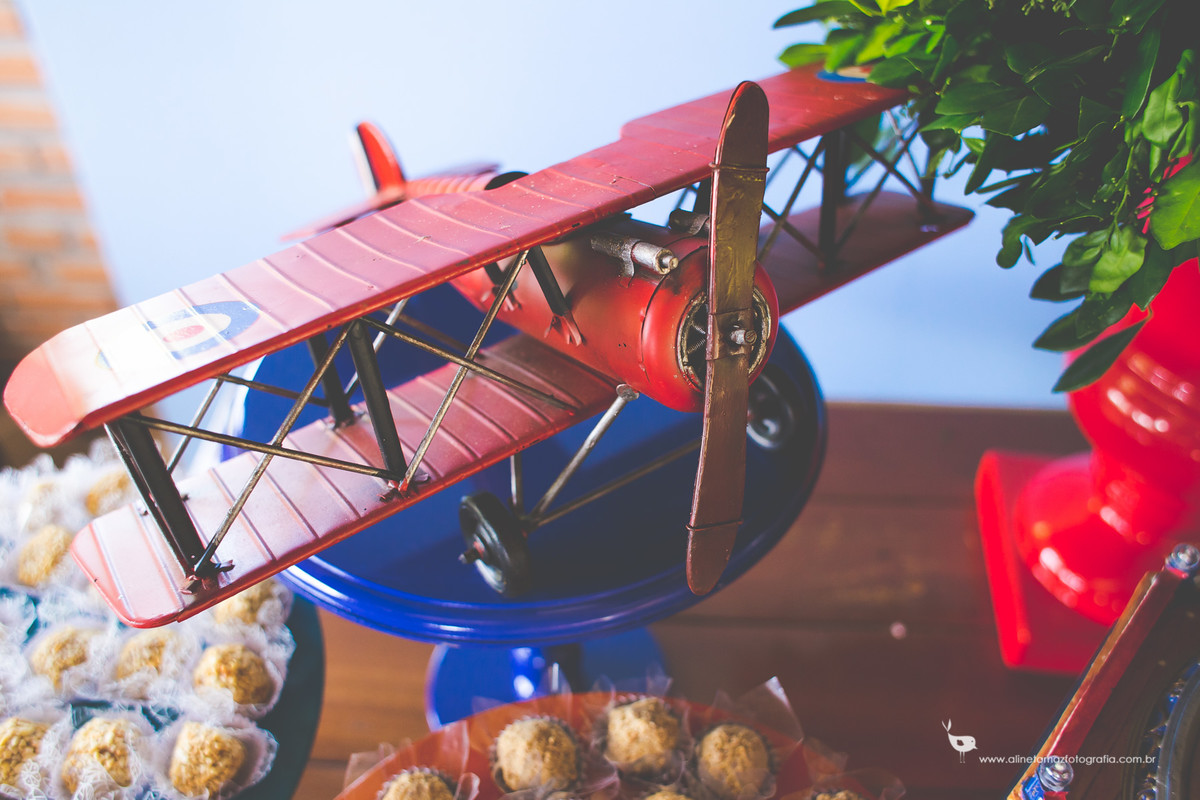 Making Off da criança, Aniversário Infantil, Sítio Sossego, Lavras _MG, Francisco 1 ano, Aline Tomaz Fotografia