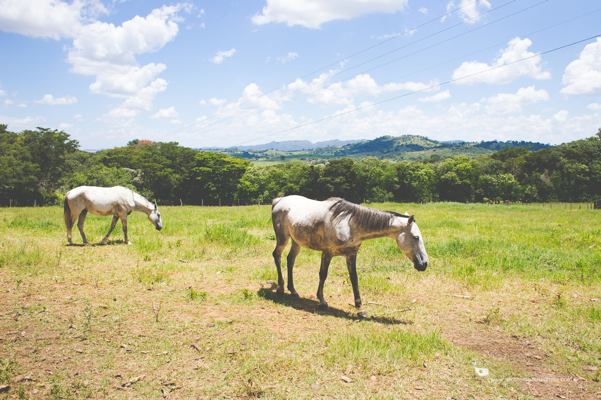 Making Off da criança, Aniversário Infantil, Sítio Sossego, Lavras _MG, Francisco 1 anoMaking Off da criança, Aniversário Infantil, Sítio Sossego, Lavras _MG, Francisco 1 ano, Aline Tomaz Fotografia