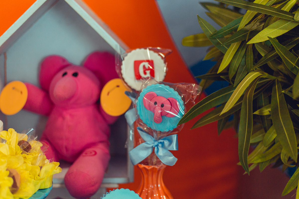 Senhoritas Fotografia aniversário infantil festa criança pocoyo