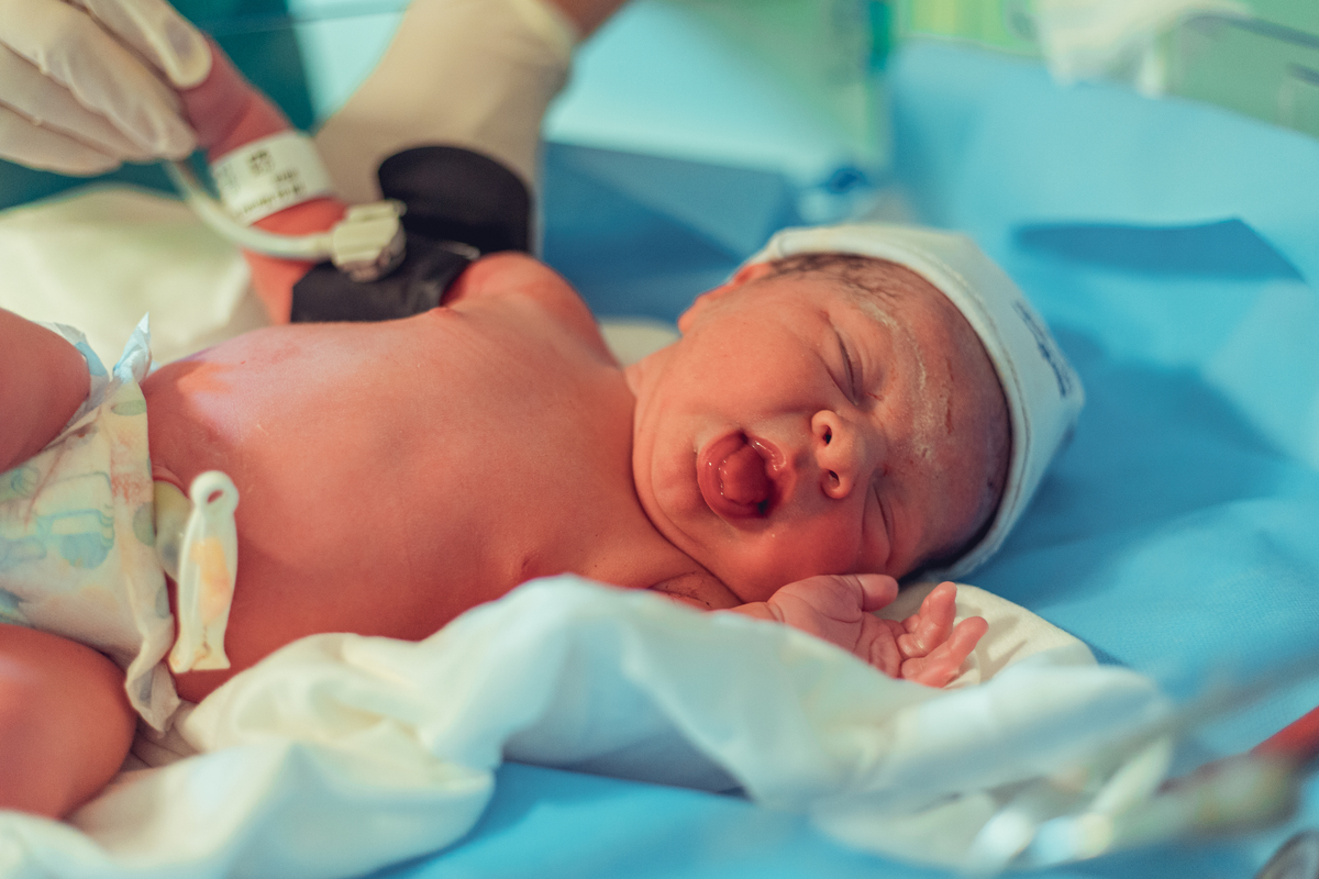 Senhoritas Fotografia nascimento parto normal natural humanizado hospital aliança salvador bahia bebê analgesia