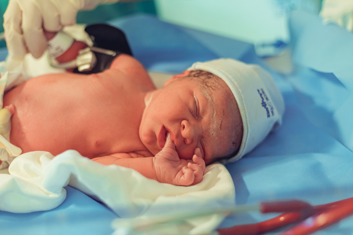 Senhoritas Fotografia nascimento parto normal natural humanizado hospital aliança salvador bahia bebê analgesia