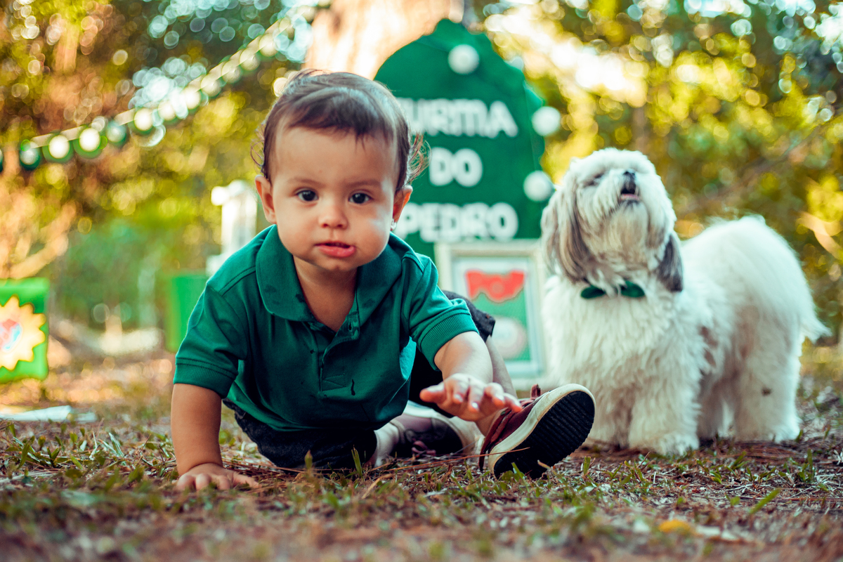 senhoritas fotografia smash the cake the fruit infantil bebê 01 ano cenário lúdico praça dos eucaliptos salvador bahia 