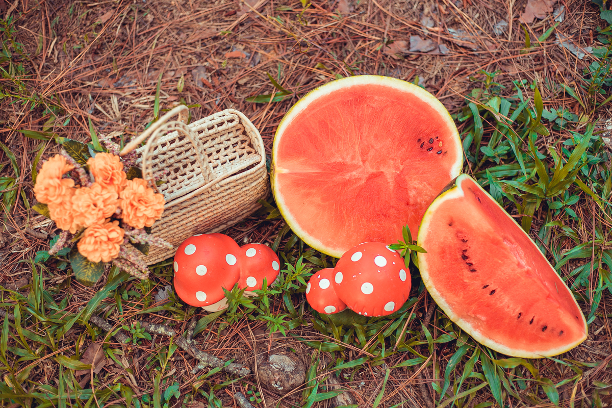 Senhoritas Fotografia infantil bebê 01 ano aninho smash the cake fruit frutas melancia laranja limão decoração bolo de frutas ensaio fotográfico salvador bahia cenário praça dos eucaliptos