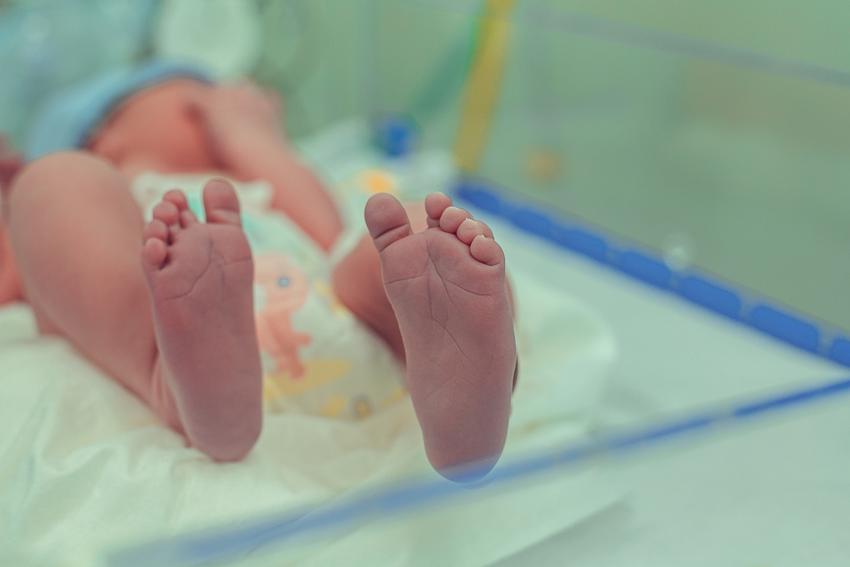 senhoritas fotografia parto cesárea nascimento bebê criança hospital aliança cirurgia marina josé salvador bahia obstetra luciana vieira lopes