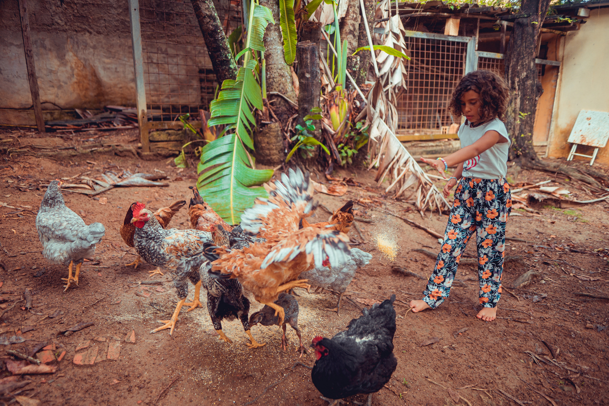 senhoritas fotografia salvador bahia ensaio documental família fotografia foto fotógrafa fotógrafas criança mãe pai filhos pequenos bebê bebês crianças casa residência quintal lazer brincadeira rotina lauro de freitas 