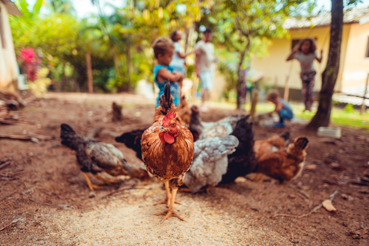 senhoritas fotografia salvador bahia ensaio documental família fotografia foto fotógrafa fotógrafas criança mãe pai filhos pequenos bebê bebês crianças casa residência quintal lazer brincadeira rotina lauro de freitas 