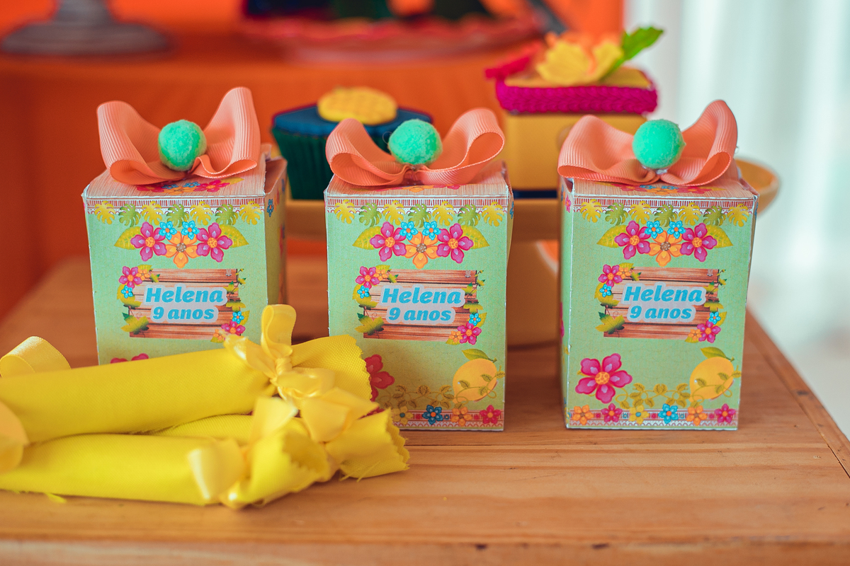 aniversário festa infantil fotografia foto fotógrafas senhoritas fotografia criança pré-adolescente bolo decoração futebol de sabão banho de espuma parabéns animação animador doces pirulito festas afetivas 09 anos menina helena