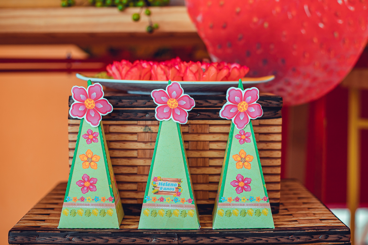 aniversário festa infantil fotografia foto fotógrafas senhoritas fotografia criança pré-adolescente bolo decoração futebol de sabão banho de espuma parabéns animação animador doces pirulito festas afetivas 09 anos menina helena