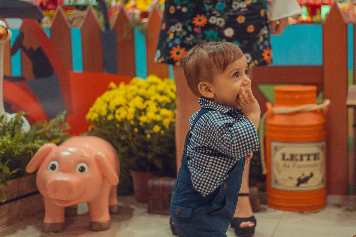 bebe se diverte na decoração da festa fazendinha buffet na selva