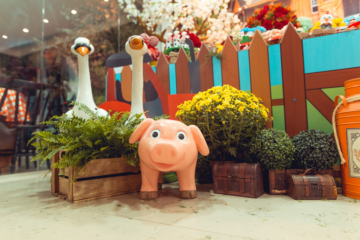 cisne e porco decoração de festa infantil tema fazendinha salvador