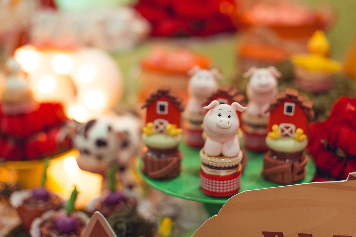 decoração celeiro festa infantil tema fazendinha salvador