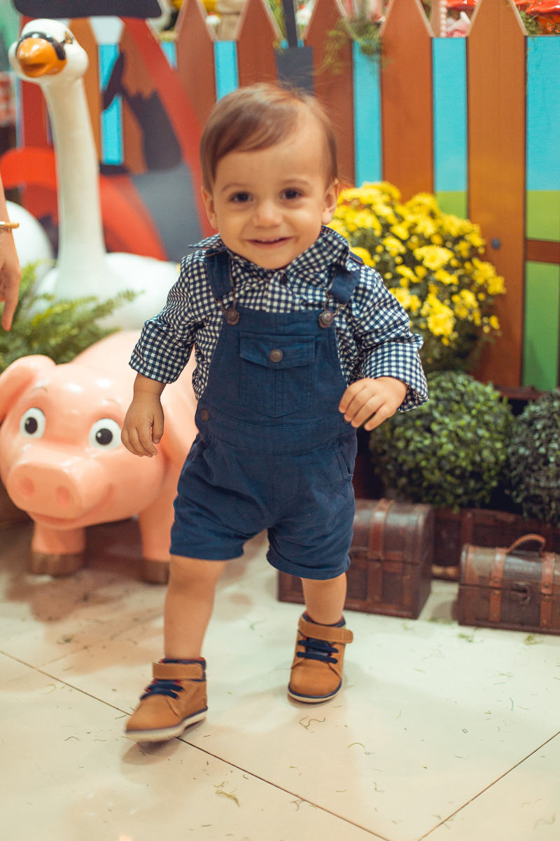 aniversariante em festa infantil tema fazendinha salvador