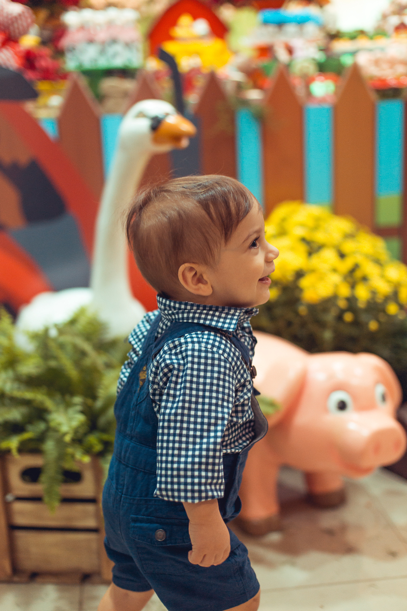aniversariante em festa infantil tema fazendinha salvador