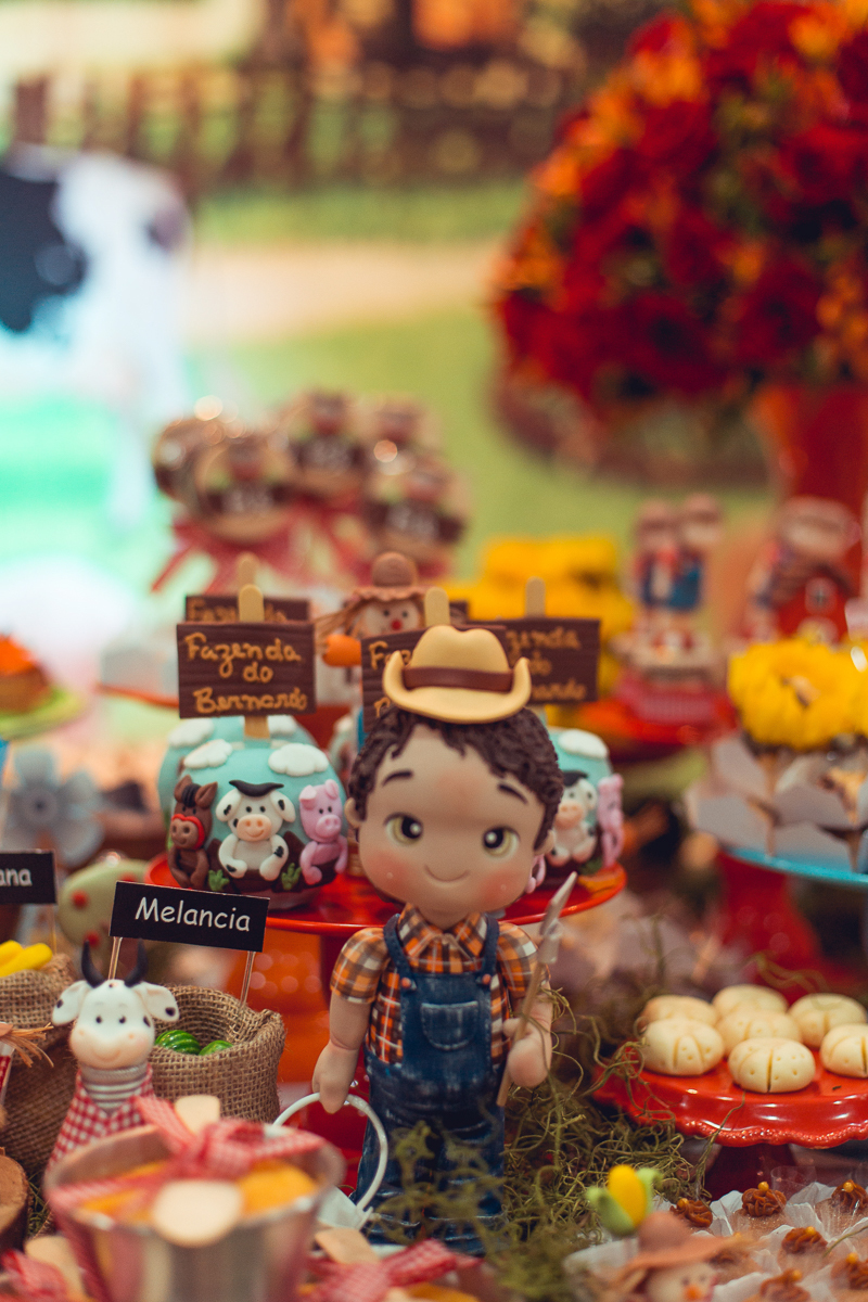 cowboy decoração infantil tema fazendinha salvador