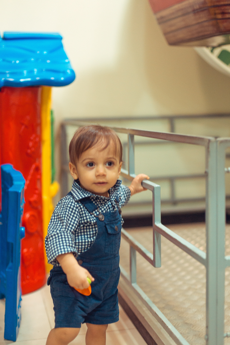 pousando pra foto em aniversario infantil tema fazendinha salvador