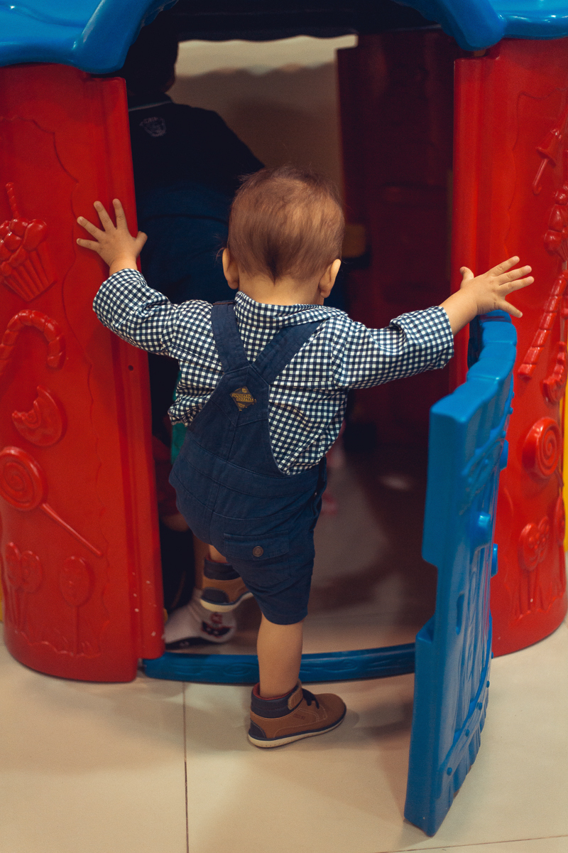 brincando na casinha festa infantil tema fazendinha salvador
