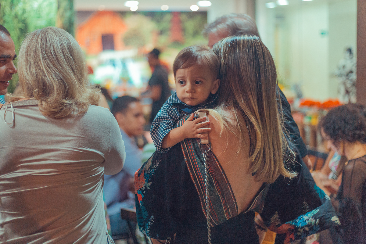 aniversariante aproveitando a festa infantil com tema fazendinha salvador