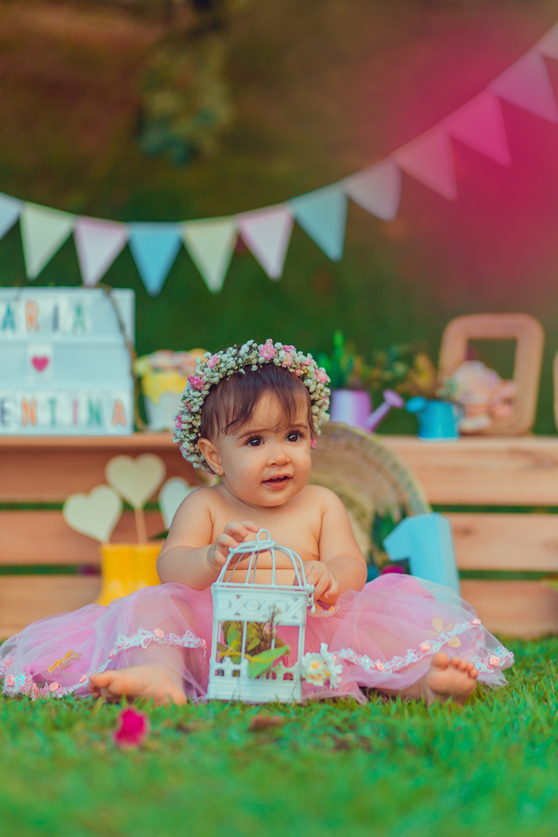 aniversario infantil fotografia criativa decoração jardim 