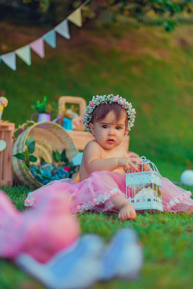 aniversario infantil fotografia loja ponto das festas feira de sao joaquim