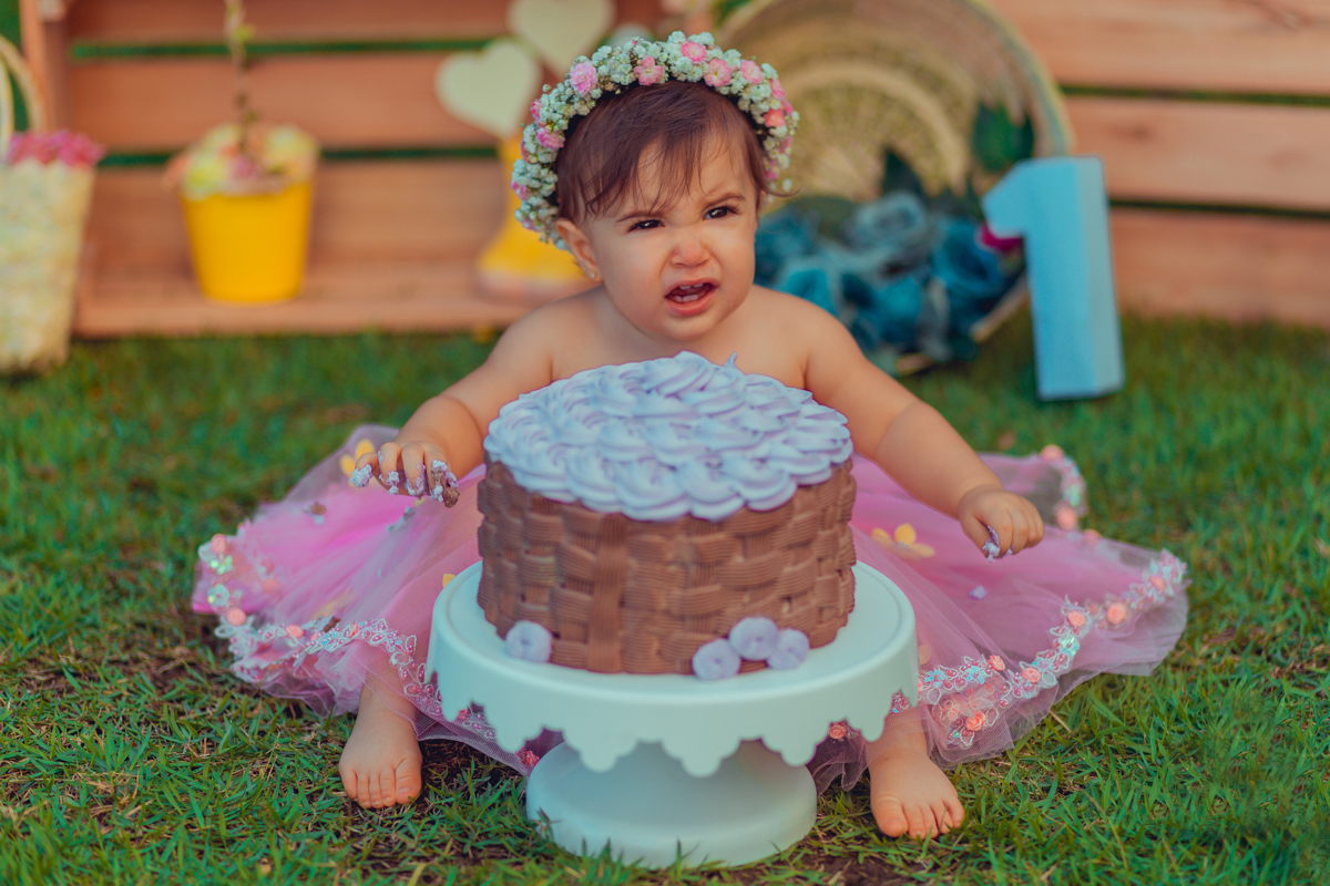 aniversario infantil fotografia smash the cake salvador jardim encantado flores passaros borboletas