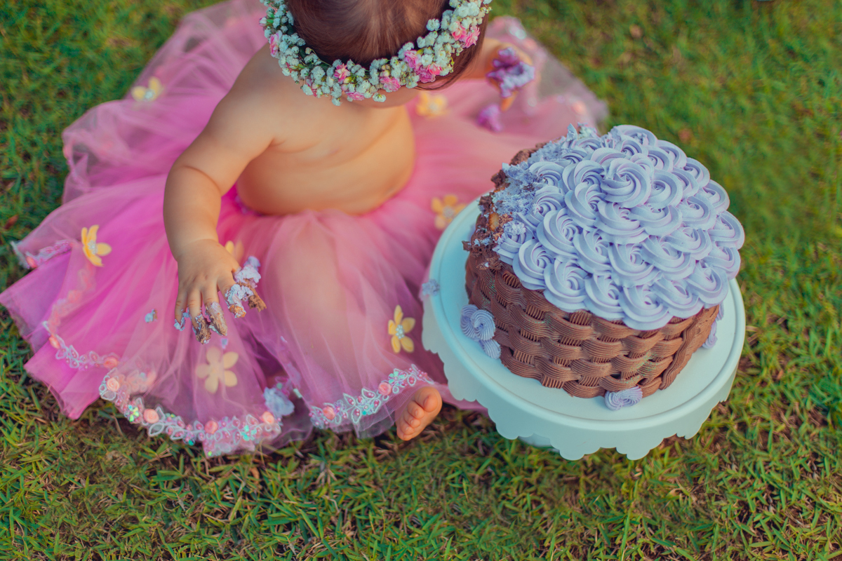 aniversario infantil fotografia smash the cake salvador jardim encantado flores passaros borboletas