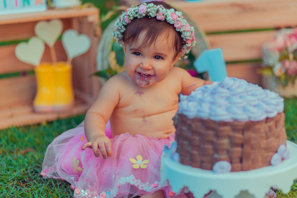 aniversario infantil fotografia smash the cake salvador jardim encantado flores passaros borboletas