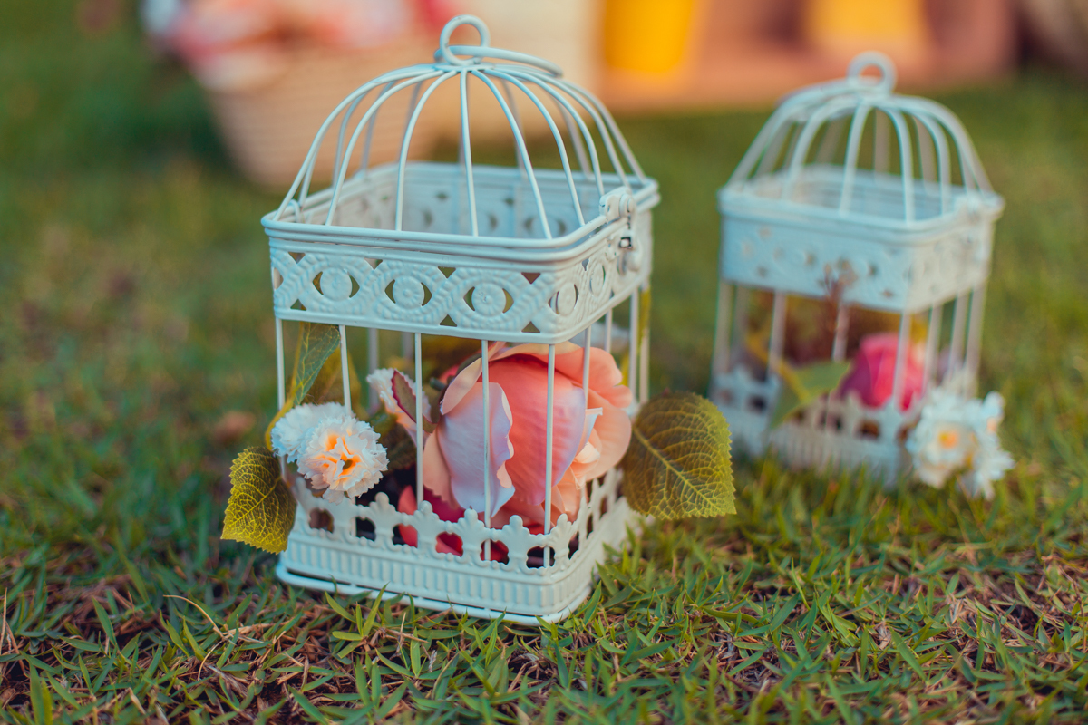 gaiolas decoração jardim senhoritas fotografia salvador smash the cake bolo foto