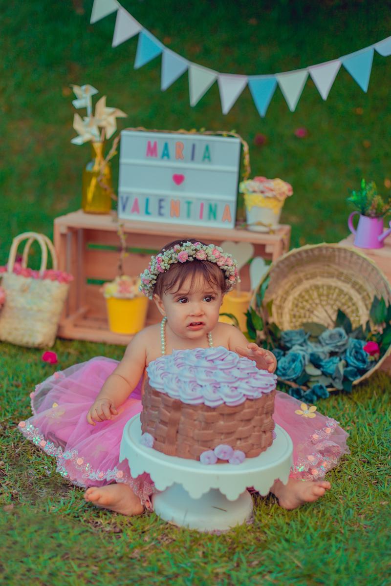 aniversario infantil fotografia smash the cake salvador jardim encantado flores passaros borboletas