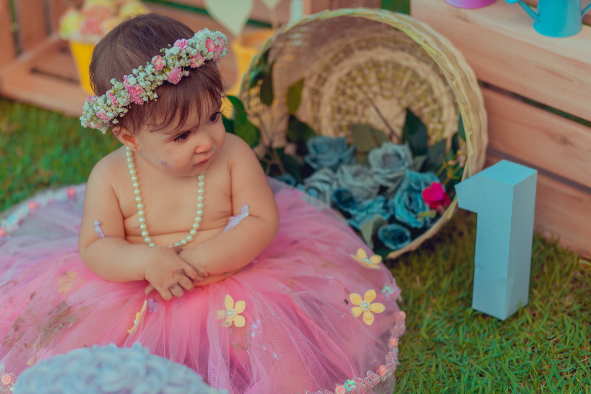 aniversario infantil fotografia smash the cake salvador jardim encantado flores passaros borboletas